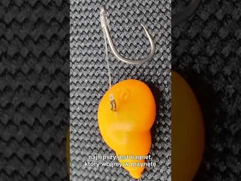 Jelly snail zbrojenie