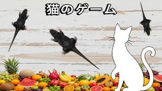 フルーツショップのネズミラン｜猫の好奇心をくすぐる楽しい追いかけゲーム🍎 Fruit Shop Rat Run | A Playful Rat Chase for Curious Cats screenshot 5