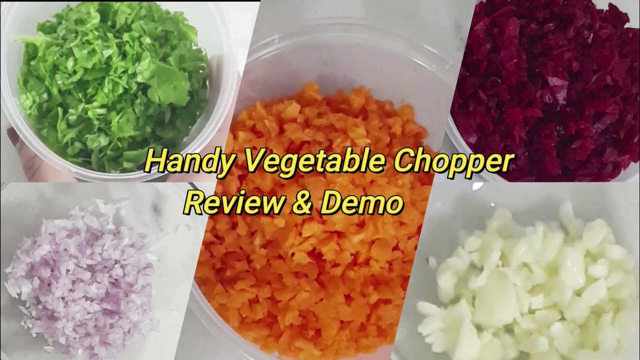 Handy Vegetable Chopper Review & Demo/Vegetable Cutter/Chopper/Vegetable Chopper tamil Review