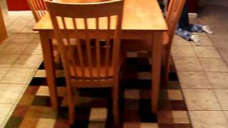December 2008 043