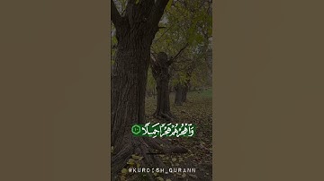 سورة المزمل(10) قارئ رعد محمد الكردي kurdish qurann
