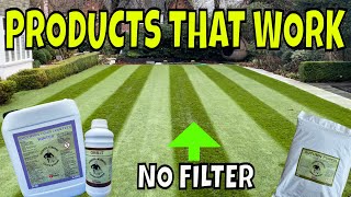 Still time to get some NOVEMBER LAWN care in by Daniel Hibbert Lawn Expert 8,184 views 5 months ago 9 minutes, 24 seconds
