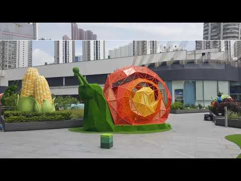 葵芳好去處