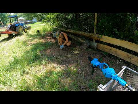Mowing and clearing around the property