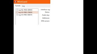 How to get a WireGuard config profile and import it (ProtonVPN) screenshot 4