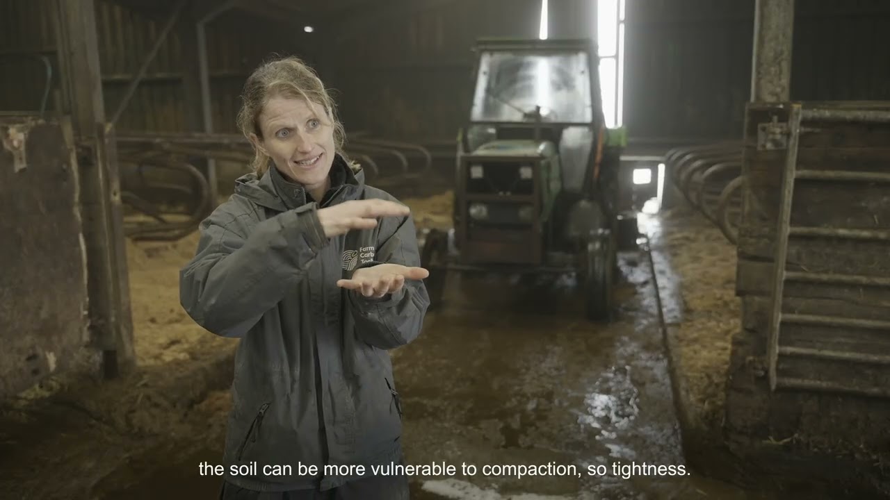 Cornwall Herbal Ley Establishment Network - Establishing herbal leys on permanent pastures