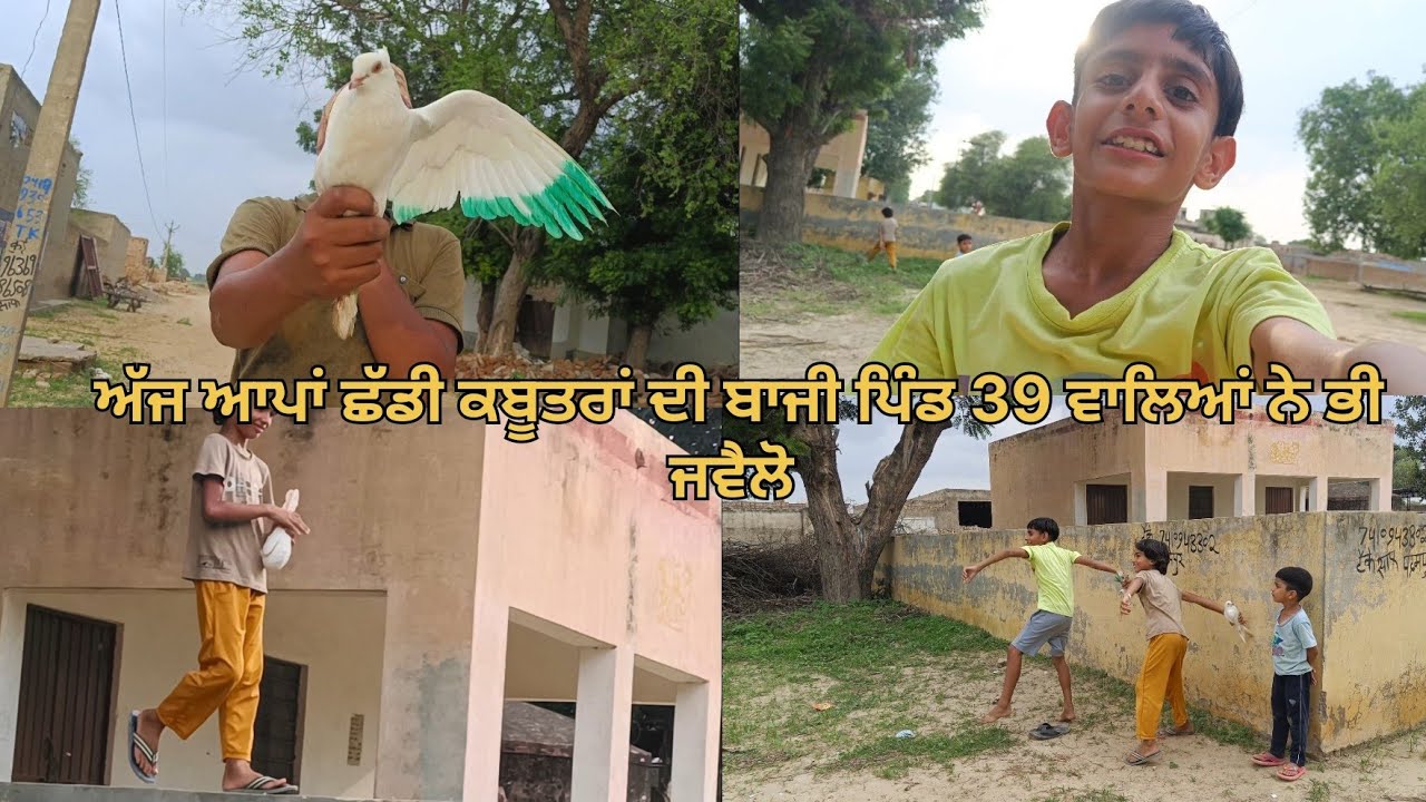 ਅੱਜ ਆਪਾਂ ਛੱਡੀ ਕਬੂਤਰ ਦੀ ਬਾਜੀ 39 ਐਲ ਐਂਡ ਪੀ  // ਪੂਰੇ ਤਿੰਨ ਰੁਪਈਆਂ ਦੀ ਬਾਜੀ