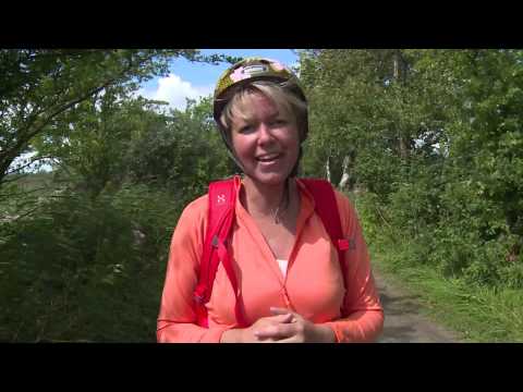 Anne-Vibeke Rejser -
