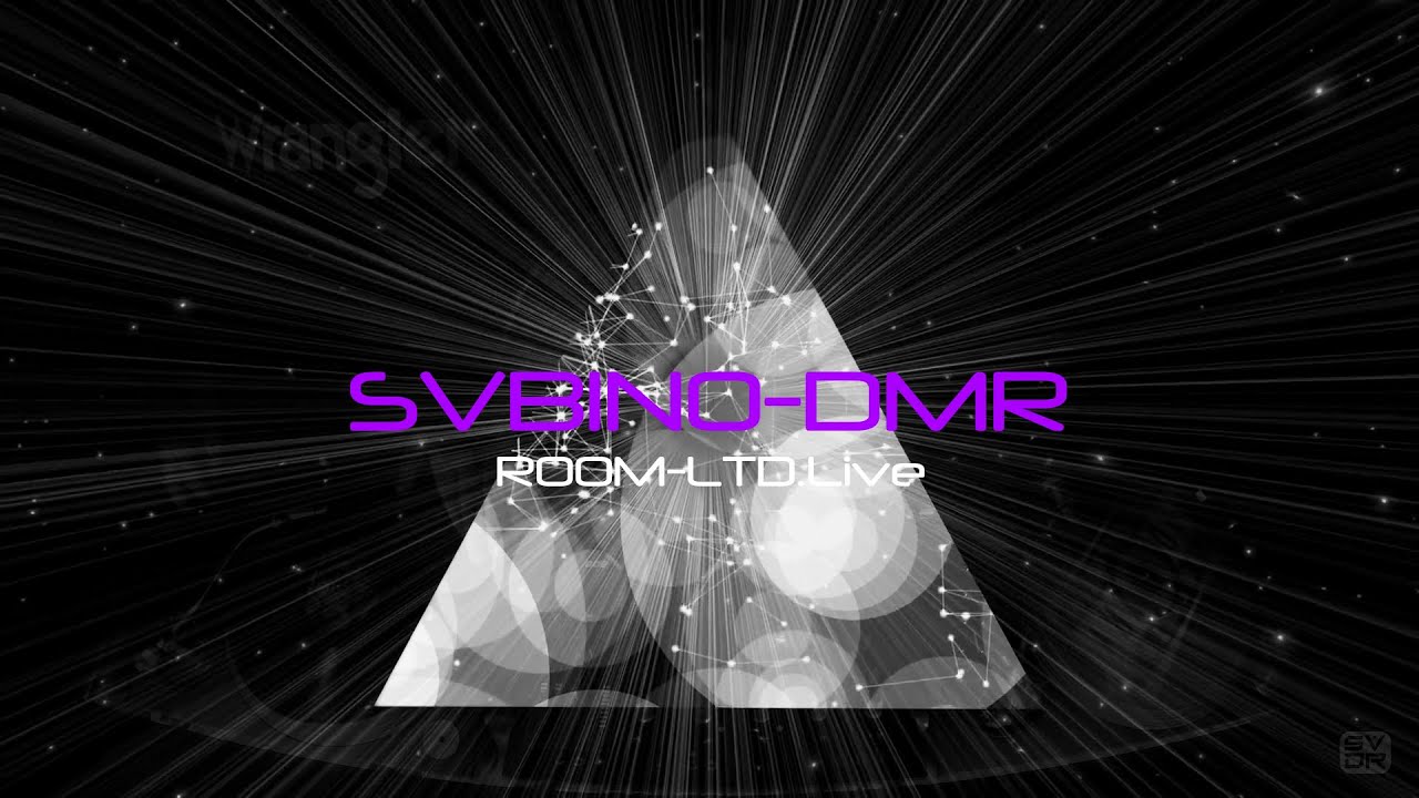 Vinyl Set - Techno ROOM-LTD // SVBINO-DMR 002