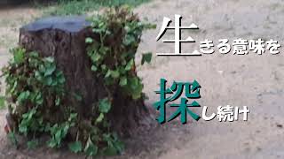 造り込みの漂白剤