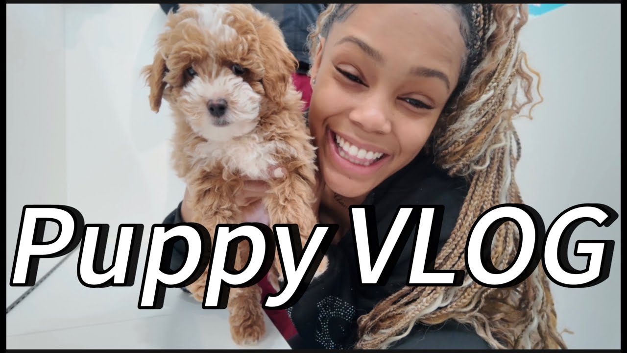 New PUPPY, Who this?!?