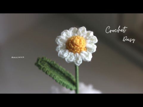 [Eng sub] Crochet daisy | Cách móc hoa cúc họa mi bằng len đơn giản | Moc Mien Crochet