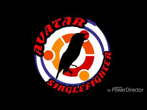 Terapi Suara Pleci Kecial ( Pleci Lombok)