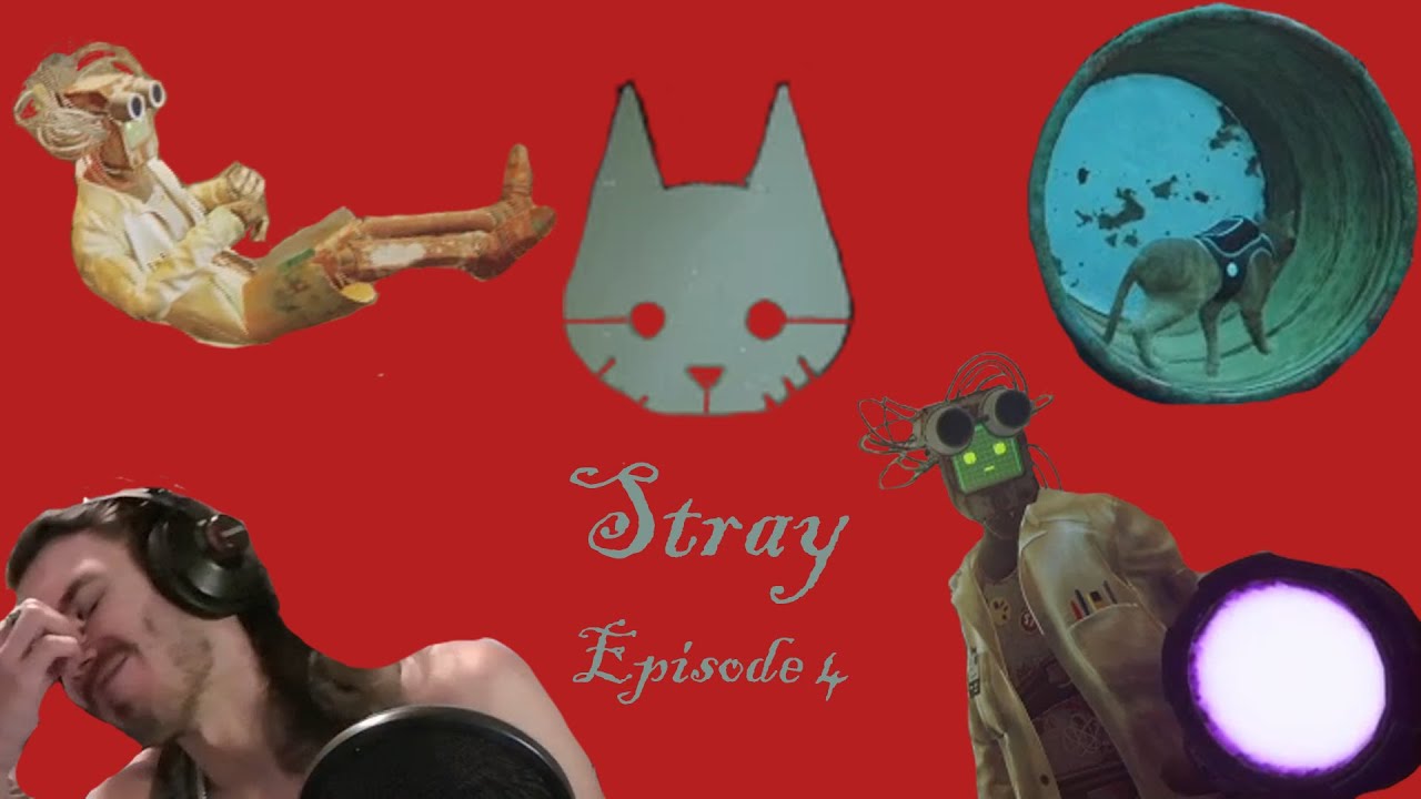 Stray: Episode 4