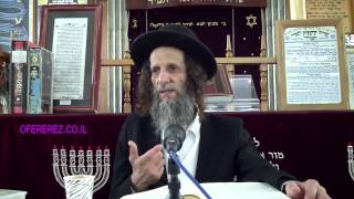 רשב"י ורבי אלעזר-הרב עופר ארז