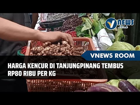 Kencur For Sale