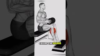 Moving This ONE Muscle Reverses Insulin Resistance? #facts #easynutrition