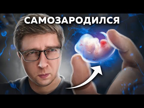 Эмбрион зародился ИЗ КЛЕТОК КОЖИ: у него мозг и сердце | Пушка #40