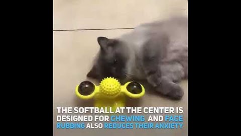 Cat Fidget Spinner - Windmill Cat Toy