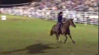 Celebrity 1st Bonifay, FL PRCA Profile