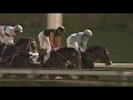 Twelfthofneverland gets second Meydan victory in a row I Racing At Meydan I Race 5 I Gulfnews.com