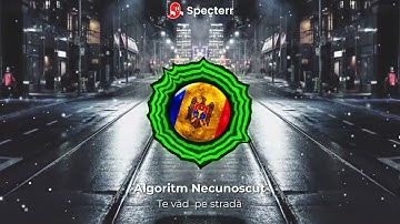 Algoritm Necunoscut - Te văd pe stradă