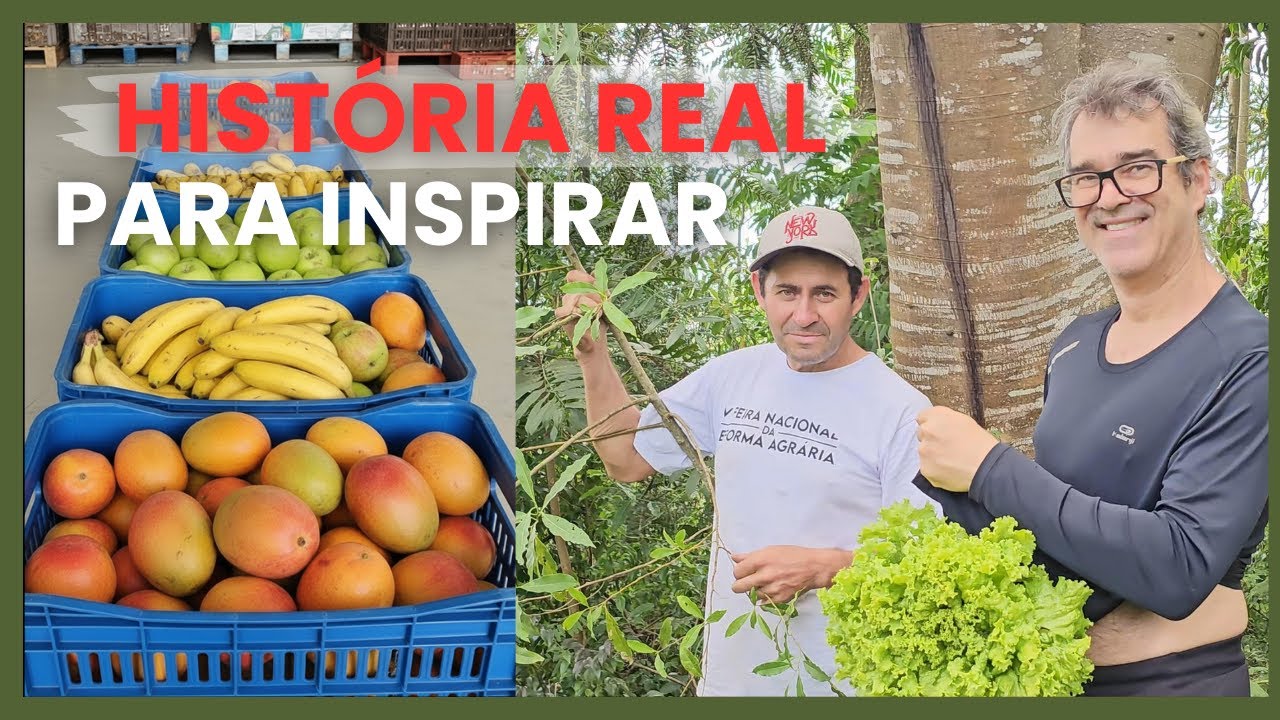 AGROECOLOGIA: Pedro e 25 Anos Transformando a Terra e Alimentando Crianças