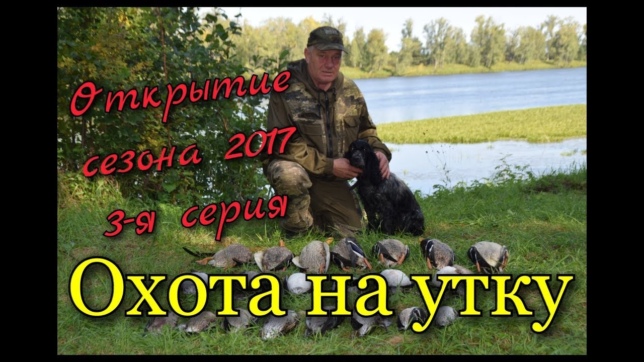 С Началом Охоты Поздравления Фото