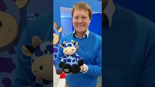 Meet Shmoo The Cow, The New Resident Of The Shmooseum