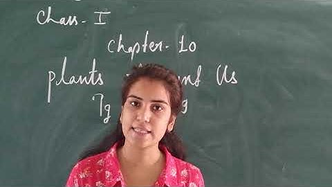 CLASS -1 || E.V.S || CHAPTER - 10 PLANTS AROUND US