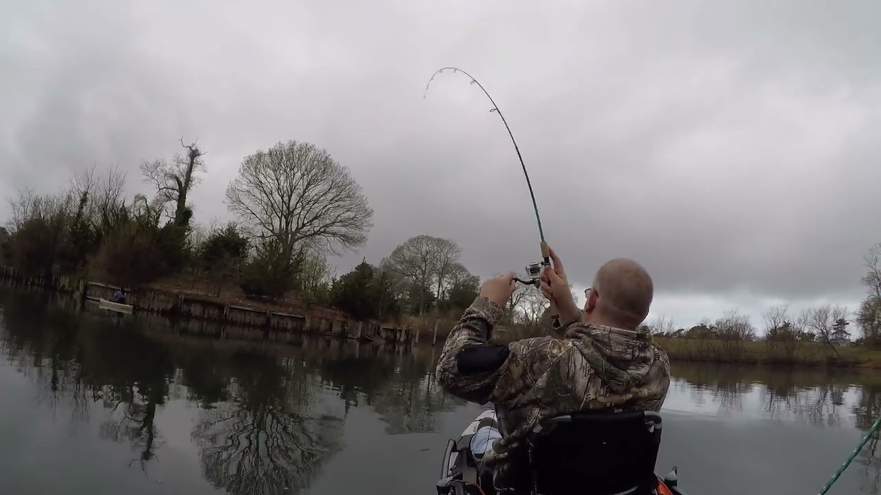 Limiting out on trout - Fishing With Big Worm