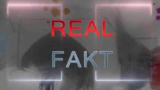 картинка: 1930 йилда Тошкентга кўчган пойтахт ҳақида РЕАЛ ФАКТ | Real fakt