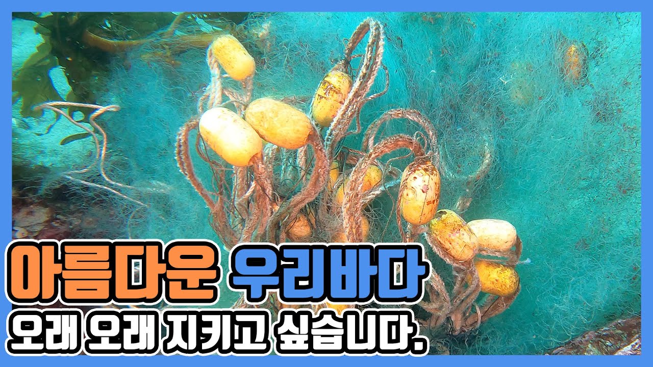 182 Log. 아름다운 한국바다를 다 함께 지켜내요 / 이수의 다이브로그 / 스쿠바다이빙 영상 로그북