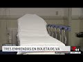 Tres enmiendas constitucionales estarán en la boleta electoral de Virginia | Telemundo 44