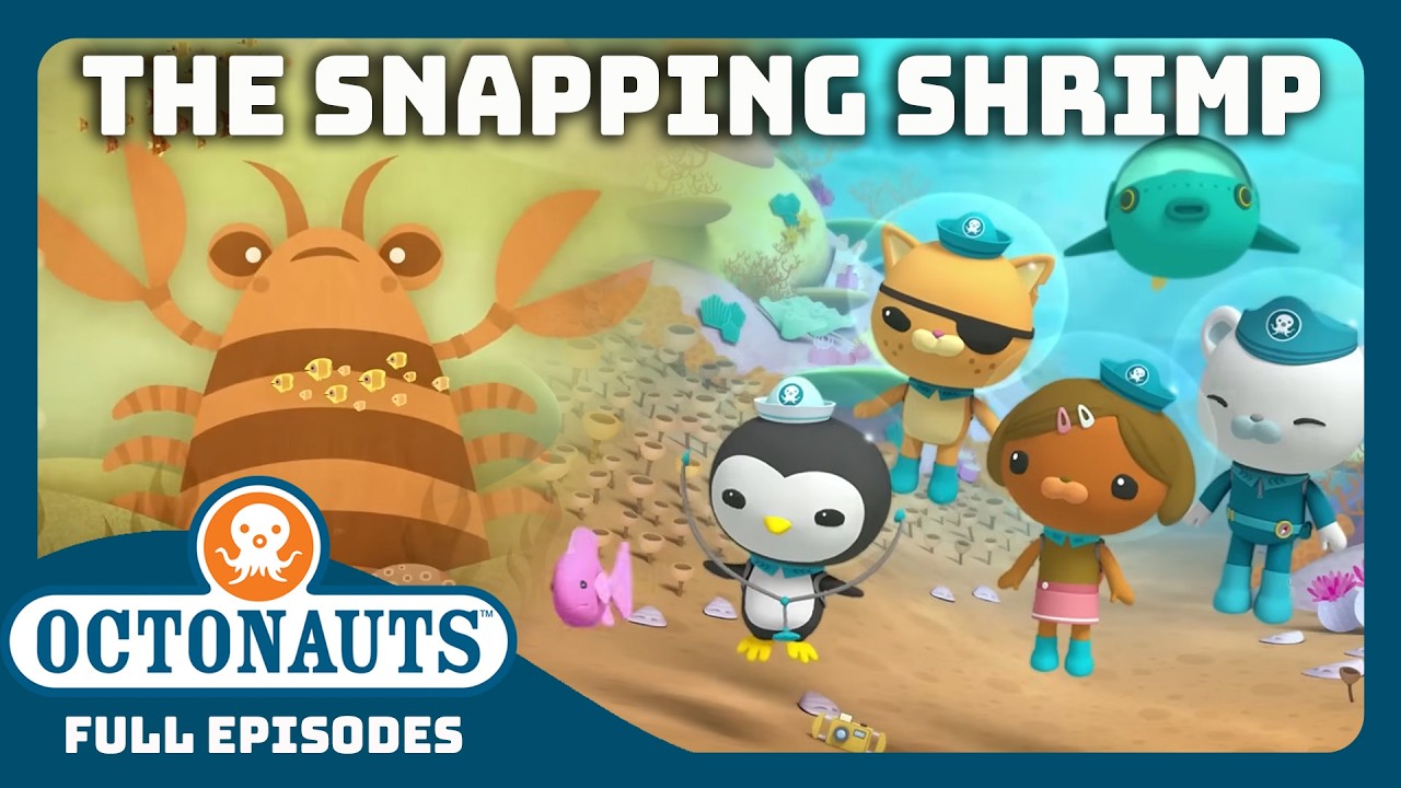 Octonauts - 🔊 The Snapping Shrimp 🦞 | Season 1 | Full Octonauts - 🔊 The Snapping Shrimp 🦞 | Season 1 | Full