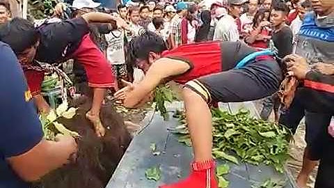 Keblak-Keblak Jaranan Laras Wangi Live Sumberasri Songgon