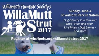 WillaMutt Strut 2017