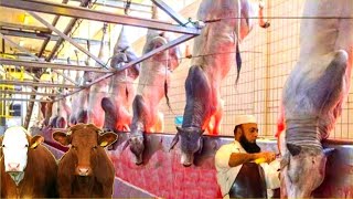 Modern Cattle Processing Factory Technology - How to Farming Millions of Cattle for Meat and Milk