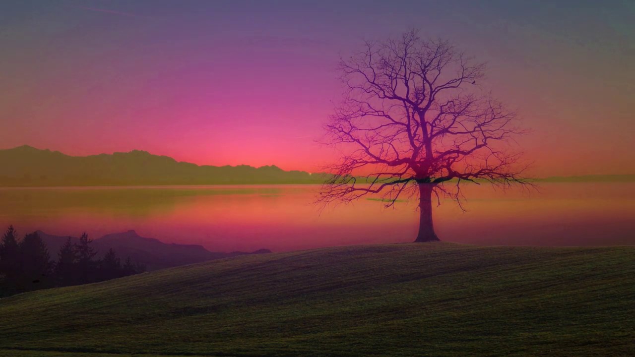 Nights on the African Plains - Composed by Kenneth Hope