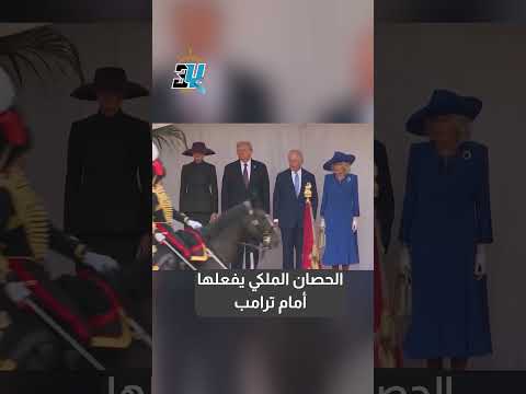 في موقف محرج الحصان الملكي يفعلها أمام ترامب ويصبح حديث العالم