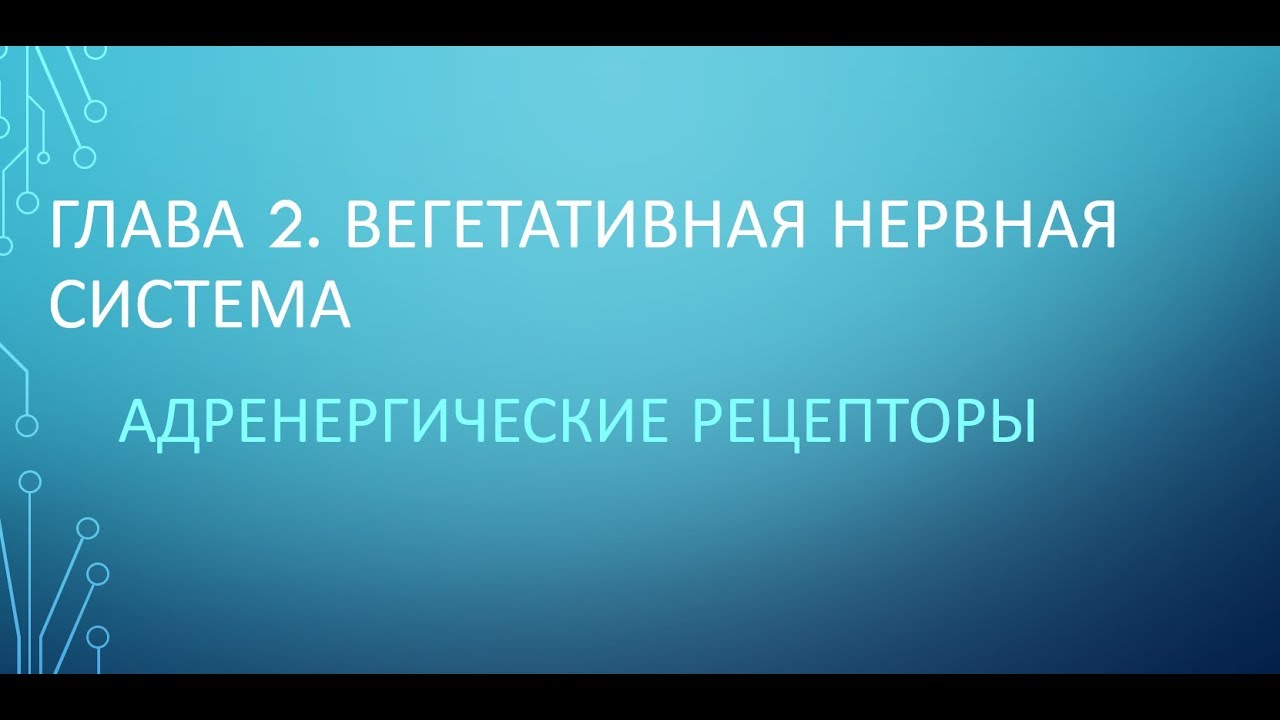Физиология. Глава 2. ВНС. Часть 3. Адренергические рецепторы - YouTube