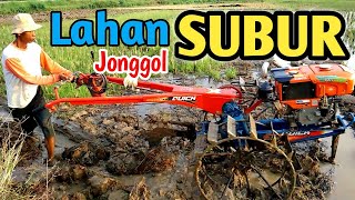 Bajak sawah 2020 Lahan subur Jonggol