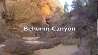 Behunin Canyon- Quick Sand