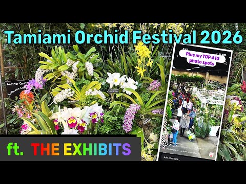 Disaster or Survival? My Tropical UK Garden After -7.5°C January 2026