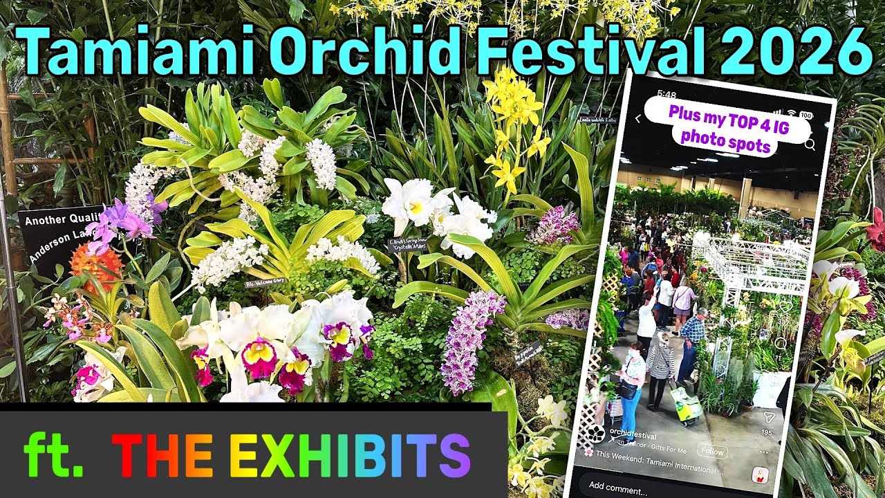 All-inclusive exhibit visit + best photo spots 😁| Tamiami Orchid Festival 2026 