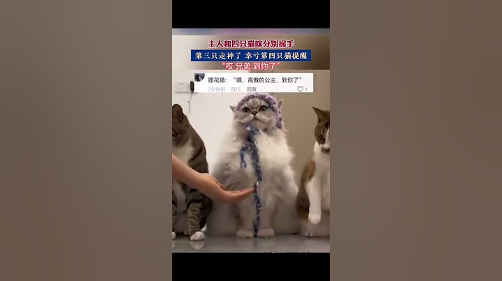 到你了，瞅啥呢 #shorts