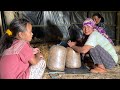 Packaging Straw and Seeds in Plastic Bags | Nepali Village Mushroom Farming Life Epi-11 |BijayaLimbu