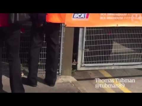 ინგლისში ავიაკატასტროფას ბინ ლადენის ოჯახის წევრები ემსხვერპლნენ