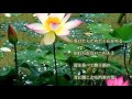 浮草情話/森若里子 cover Chie