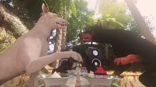 Happy Birthday Sawyer